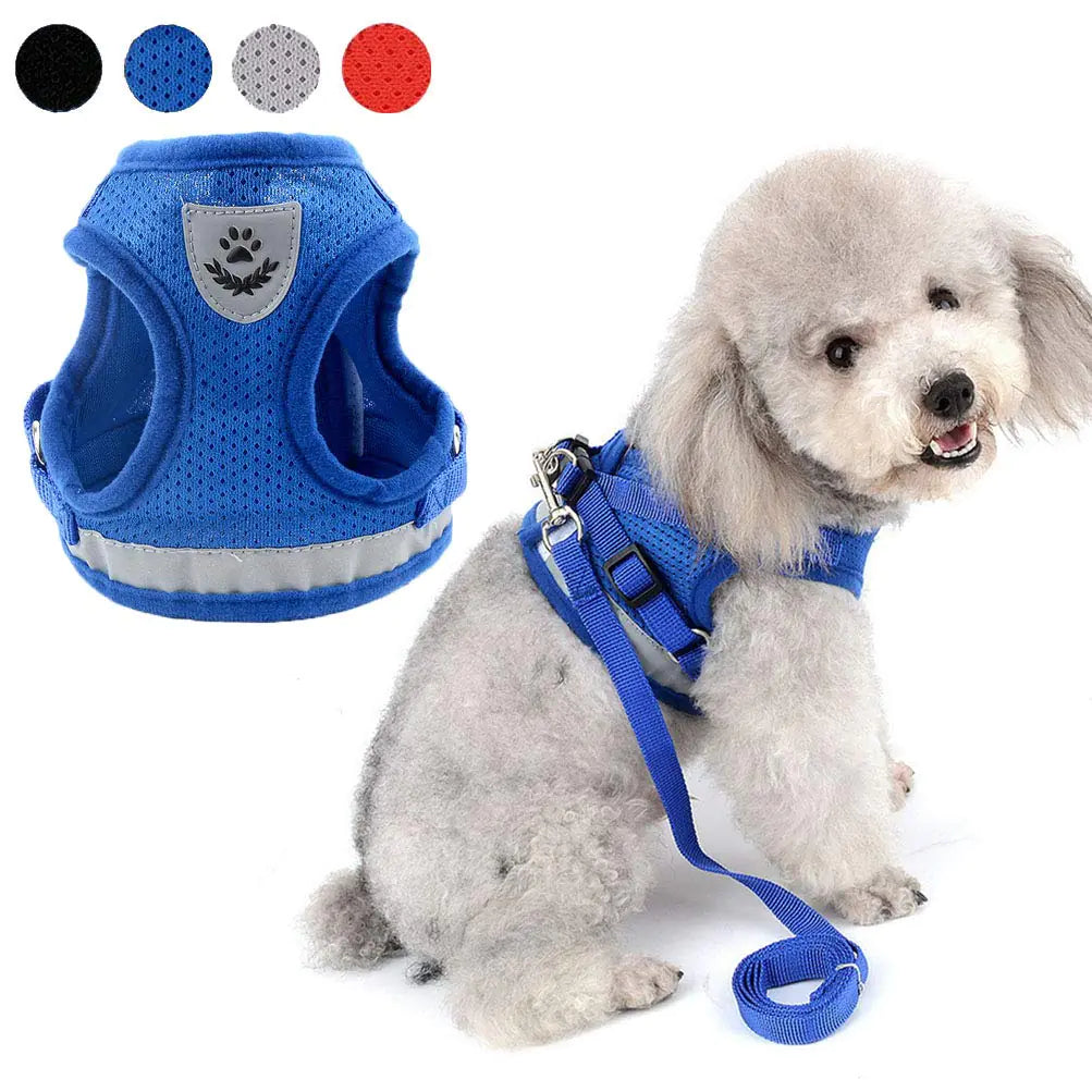 No Pull Puppy Harness and Leash